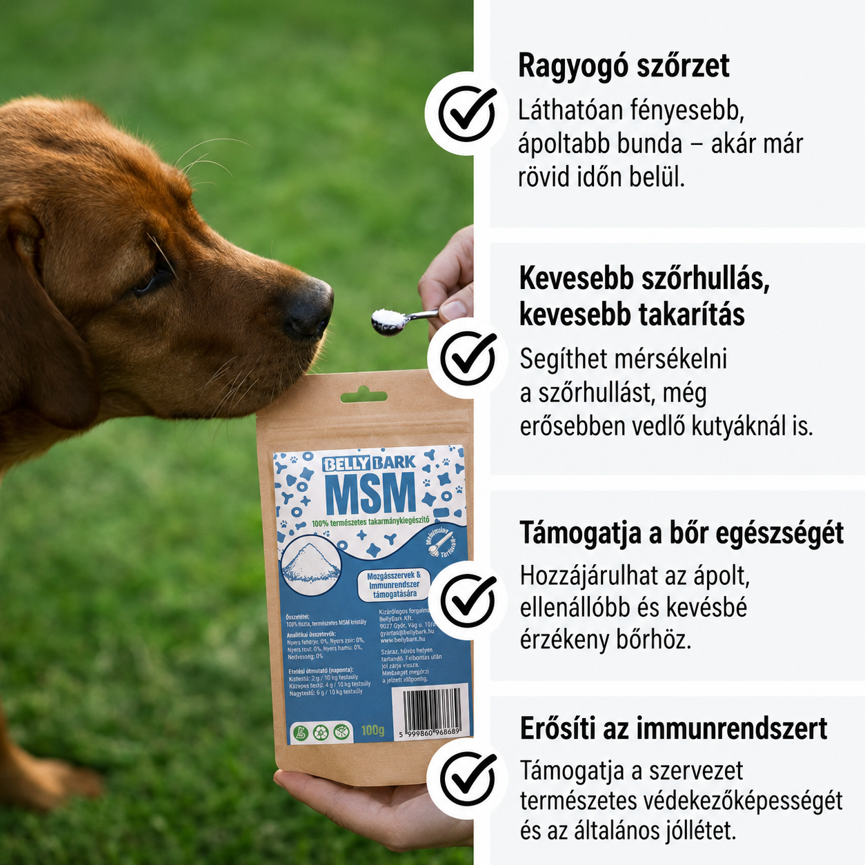 MSM kutyáknak fényes szőrért bőrápolásért és immunrendszerért