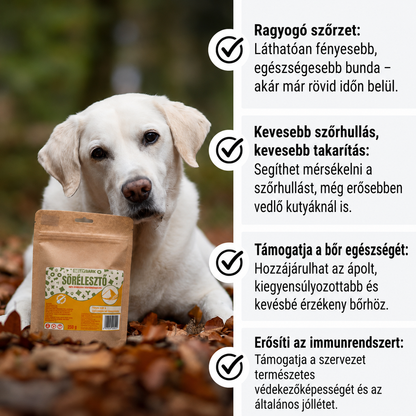 Sörélesztő kutyáknak fényes szőrzet és egészséges bőr támogatására