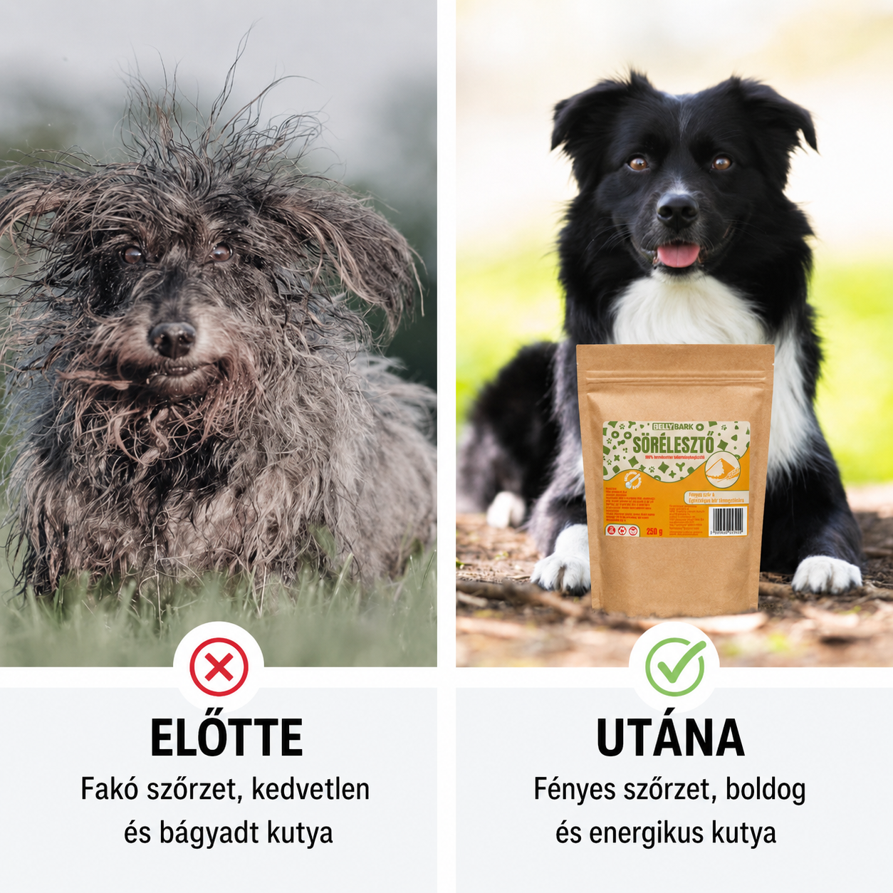 Sörélesztő kutyáknak fényes szőrzethez és nagyobb vitalitáshoz